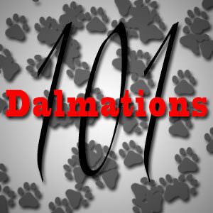 Spotlight 2017 - 101 Dalmations